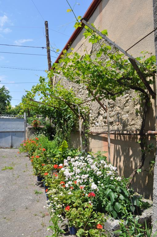 Guest House Cico Telavi Kültér fotó